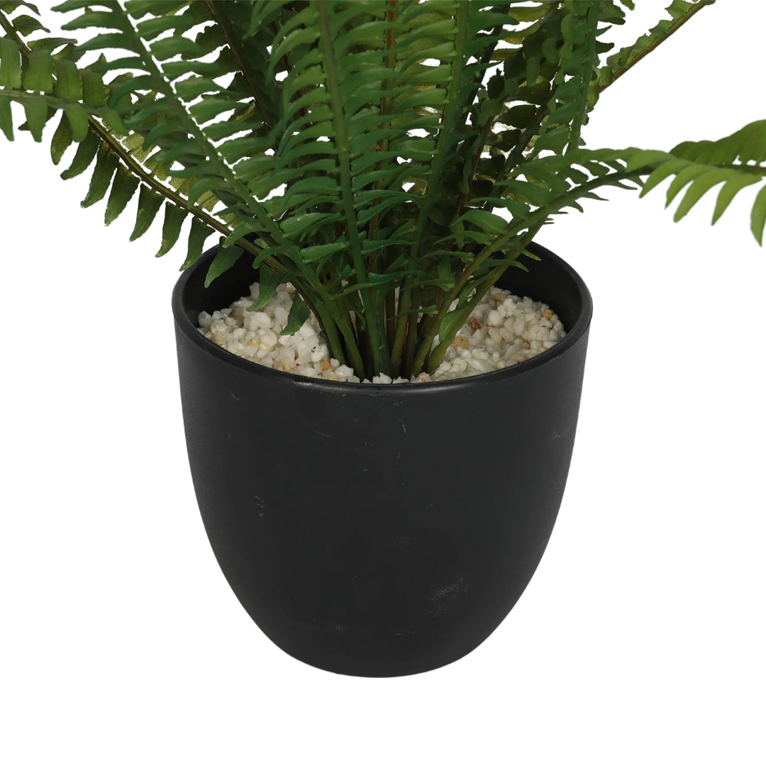 Planta Helecho | 32 cm
