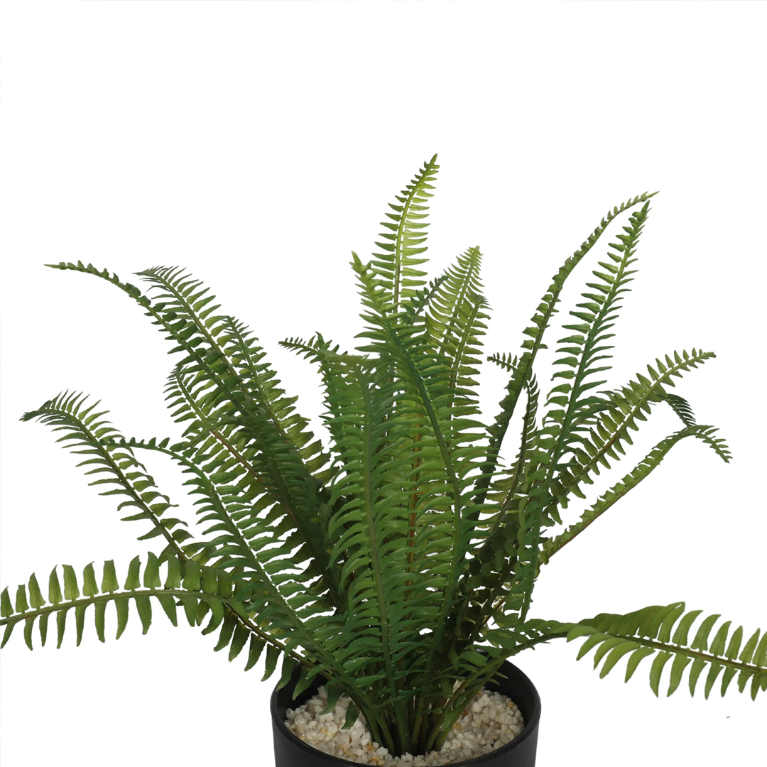 Planta Helecho | 32 cm