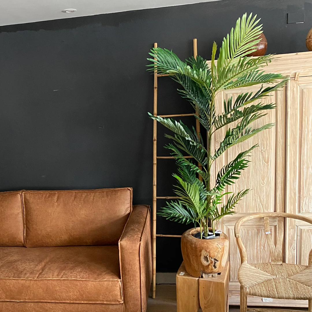 Planta Palmera Areca Premium | 150 cm