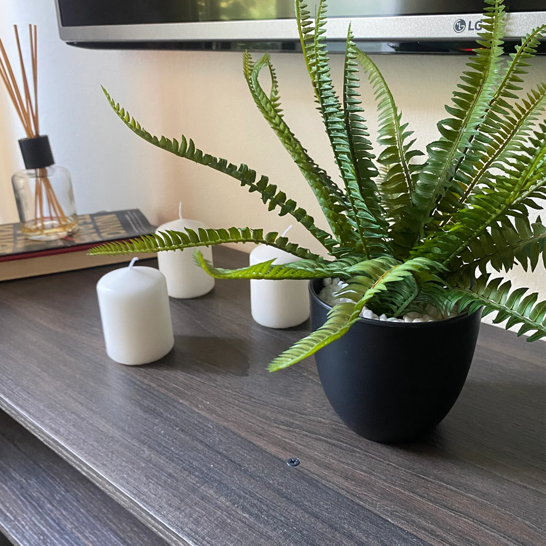 Planta Helecho | 32 cm