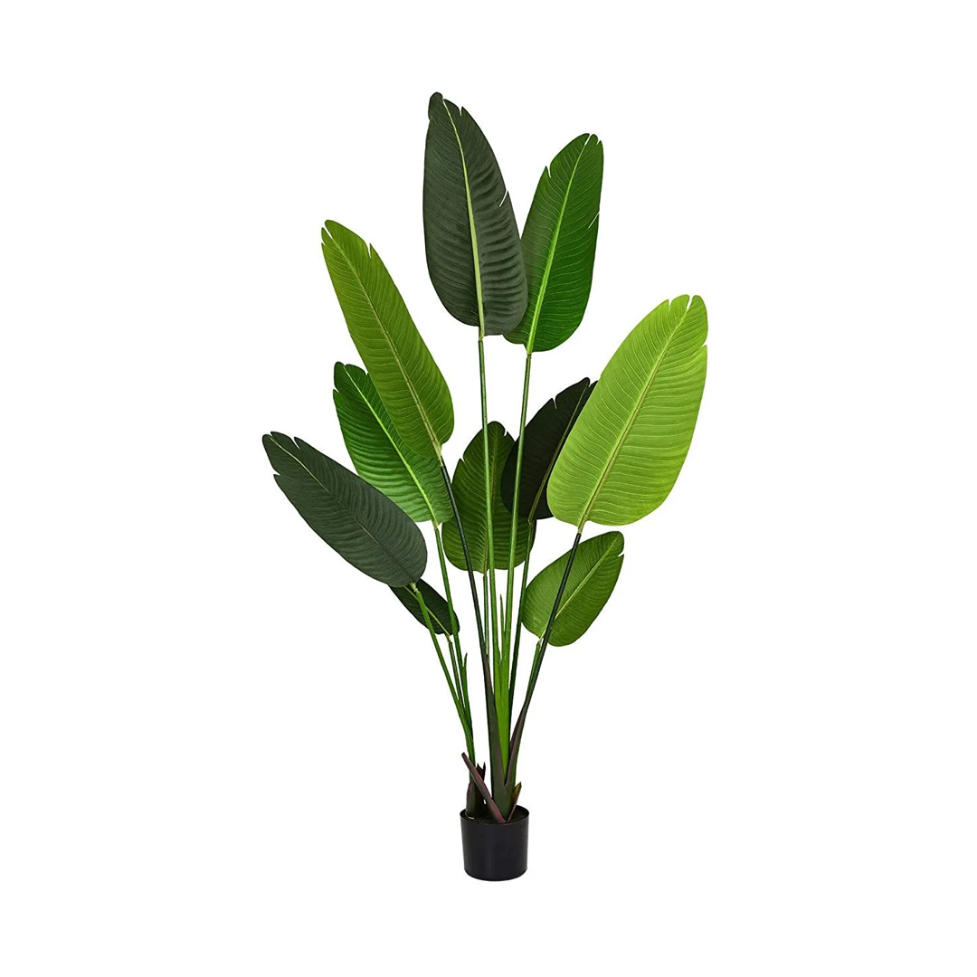 Planta Paradise Bird | 160 cm