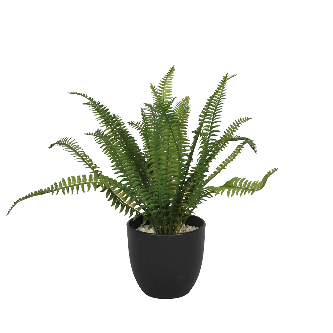 Planta Helecho | 32 cm