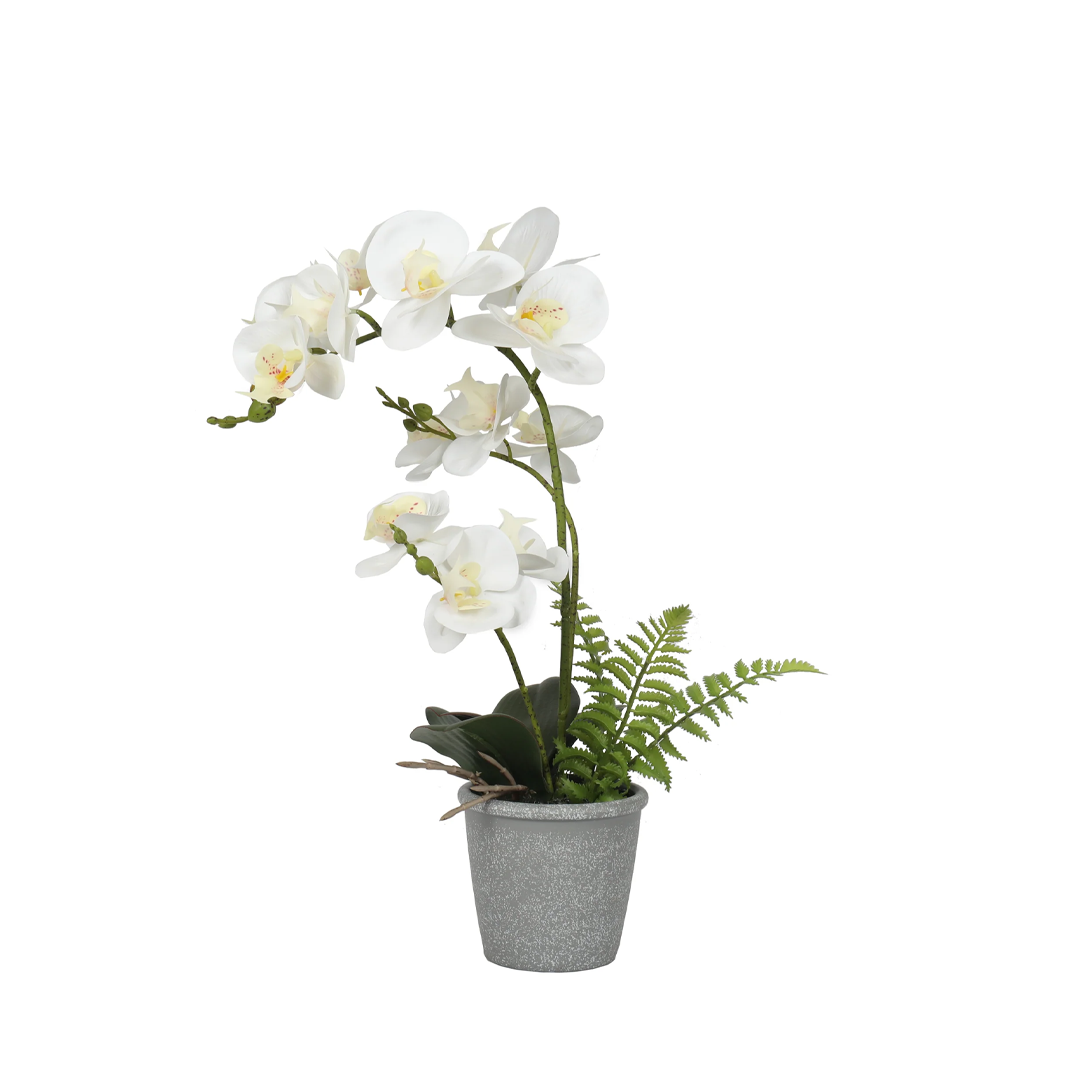 Planta Orquidea | 47 cm