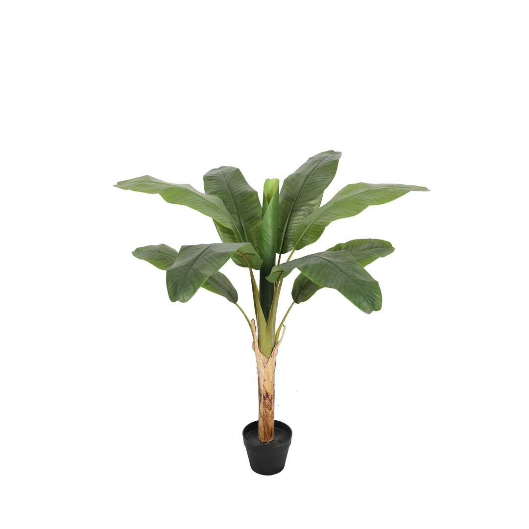 Planta Banano | 120 cm