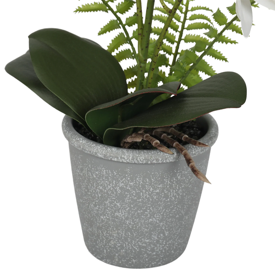 Planta Orquidea | 47 cm