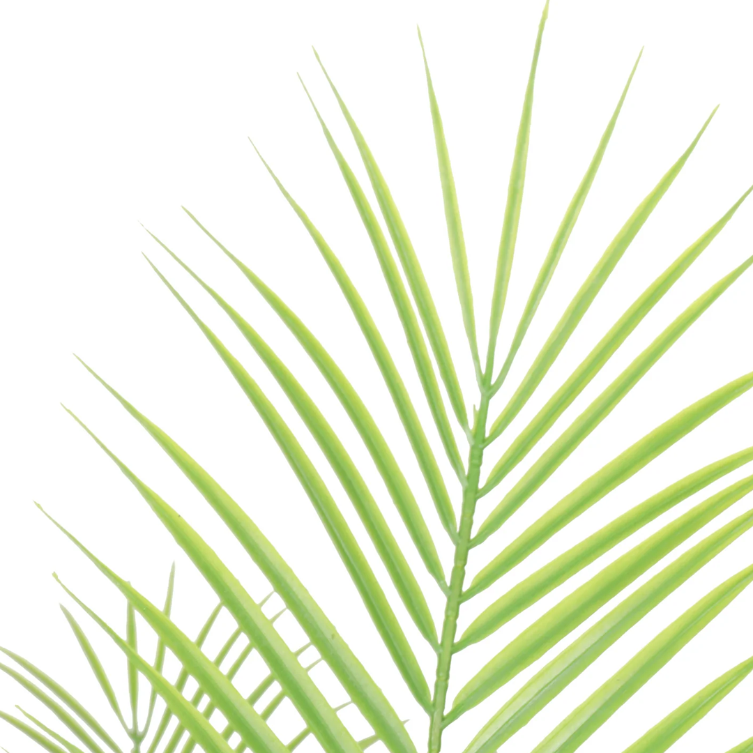 Planta Palmera | 120 cm