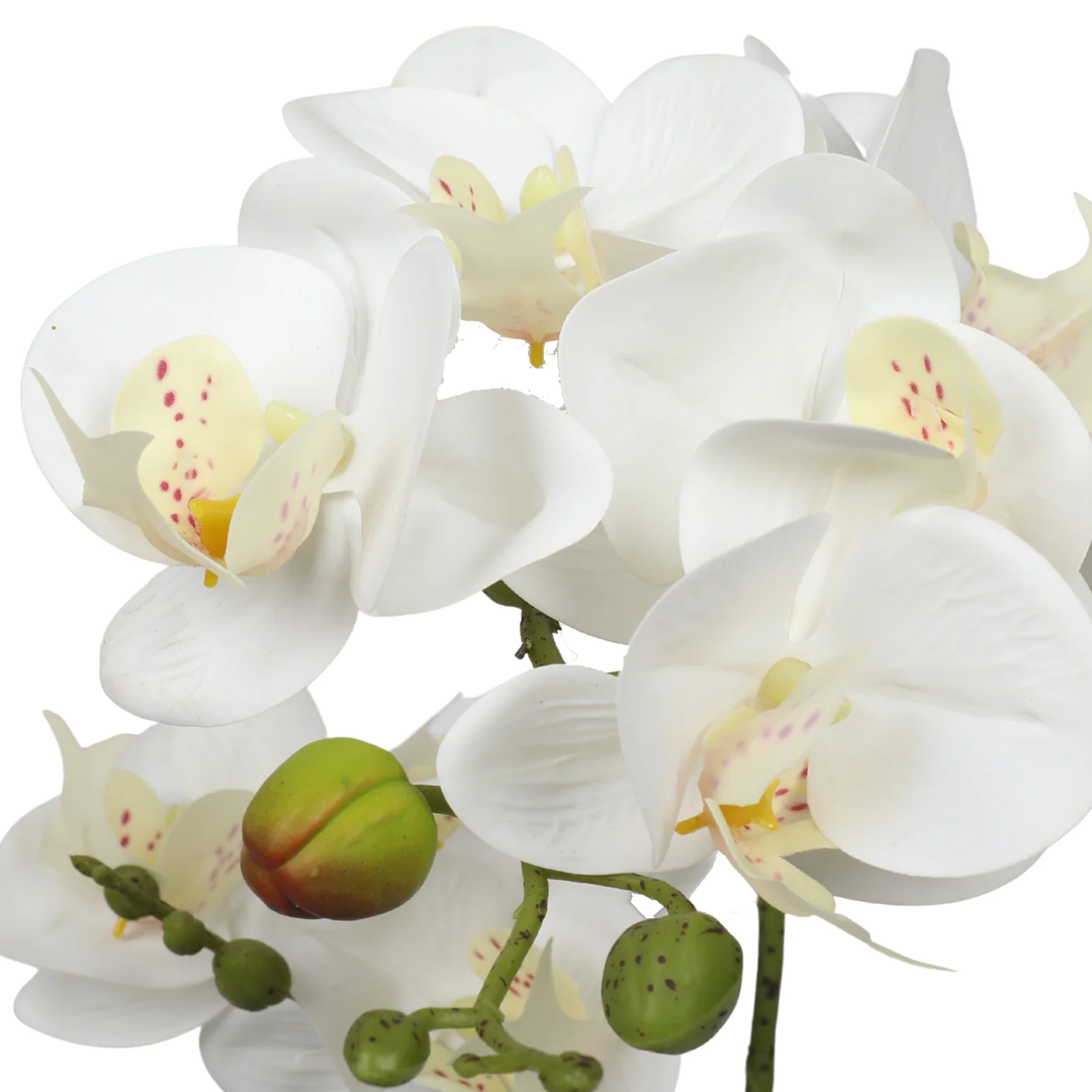 Planta Orquidea | 47 cm