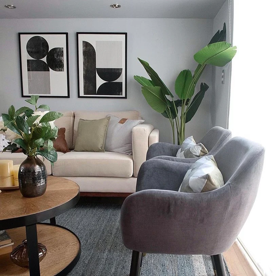 Planta Paradise Bird | 210 cm