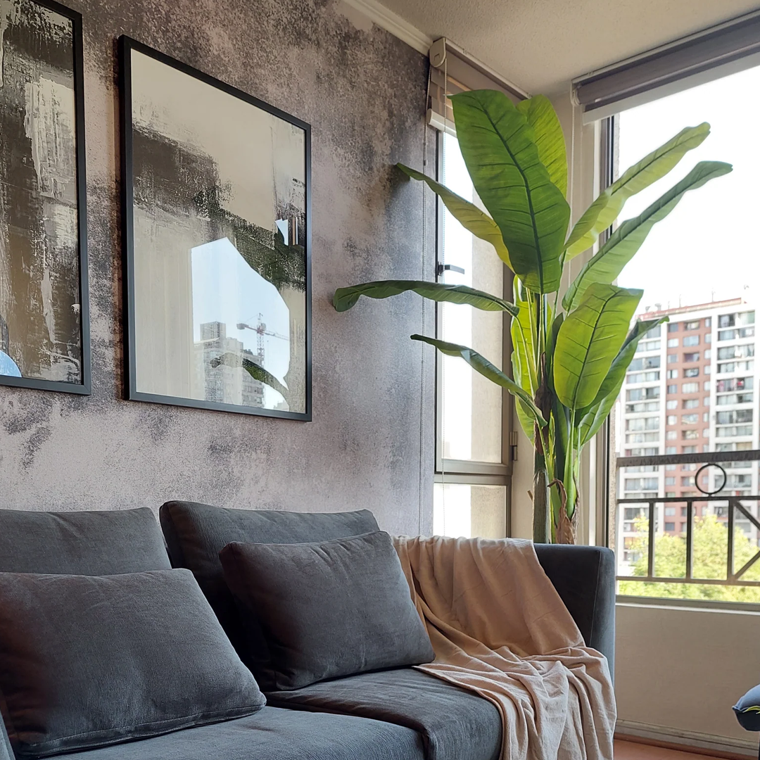 Planta Banano | 160 cm